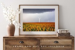 Sorghum Field Photography Print: Kansas, Farm, Wind Turbines, Picture, Photo
