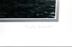 Mark Balcom Wolf (Massachusetts) “Winter Pines” Signed Photo Set of 3