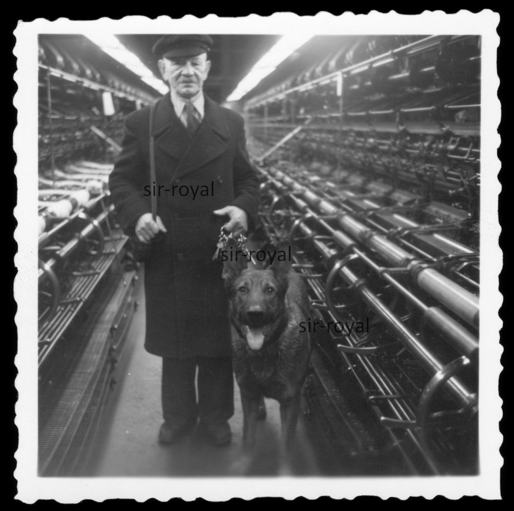 Man with German Shepherd in Large Plant – Machine Technology – Photo 6x6cm
