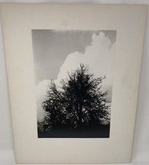 Vintage Matted Black & White Photography Nature 16” x 20” Pacific NW Photo Art