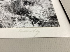 Bob Werling Signed #25 Farm & Moon Black & White Framed Decorator Edition Print