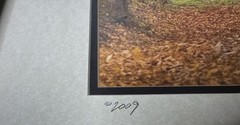 Wade Wilcox Signed Photography Photo Amish Buggy Autumn Scene Country Americana