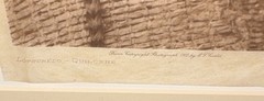 Edward S Curtis 1912 Copyright Lotsubelo – Quilcene Photograph Photogravure
