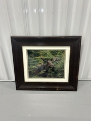 Vintage framed wildlife bull moose forest Photography nature Home Decor