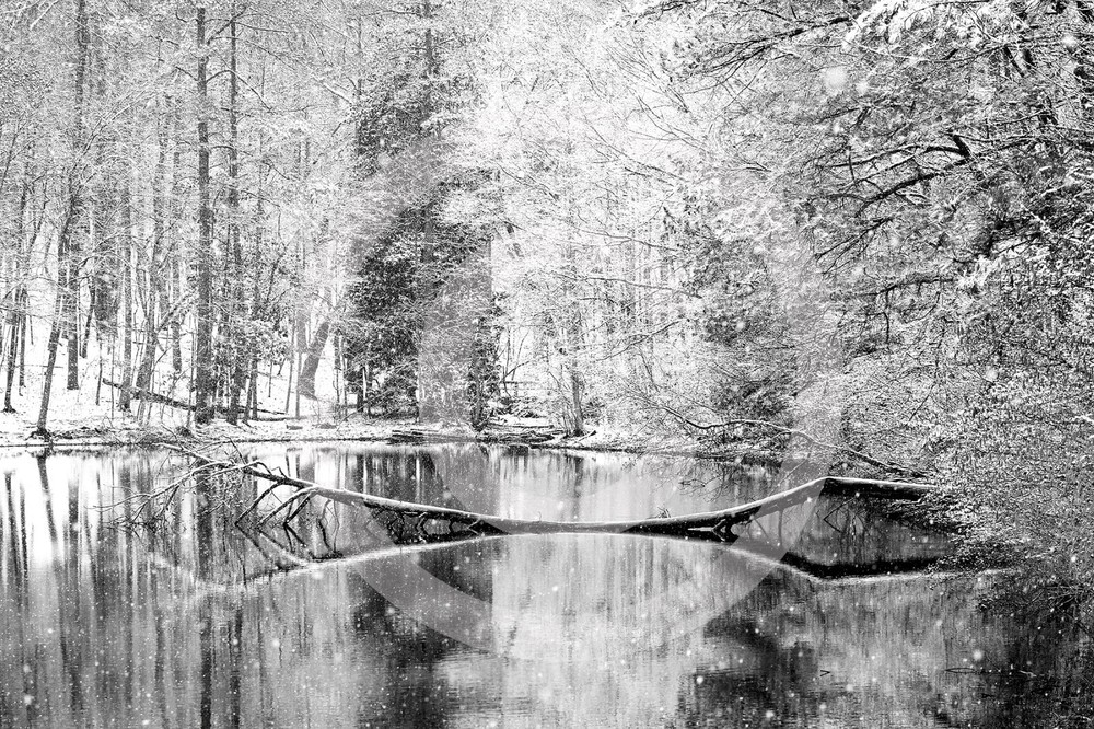 ART PHOTO ‘WINTER REFLECTIONS» SNOWY WONDERLAND! LIMITED EDITION/SIGNED 12X18