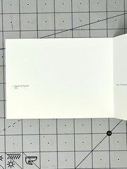 Gary Schneider (b. 1954) Art Announcement Card- Botanicals – 2001 Chicago