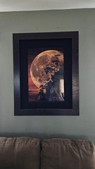 Peter Lik MOONLIT DREAMS 391/950 Framed Picture #490/950