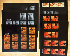 1999 S Vega Model Photo Lot Contact Sheets Polaroids Daniel Kim MIKCO Fashion