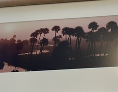 Panoramic Framed ECON Top Econlockhatchee River Florida Steve Vaughn 52:11’