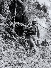 Fidel Castro in the Sierra Maestra – Iconic Jungle Portrait by Korda