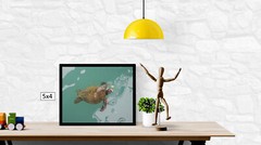 Giant Sea Turtle, Galapagos Islands, High Resolution Image, Many Formats, TV Art