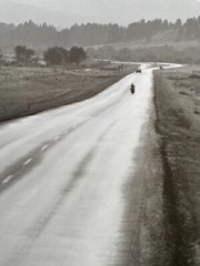DENNIS STOCK,’ THE OPEN ROAD FOR A BIKE RIDER’AUTHENTIC 1999 ART PRINT