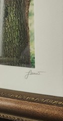 Luciano-Mario Duse Signed Numbered Christ In Tree