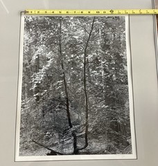 Bob Werling Signed #3 Lake Tahoe Black & White Framed Decorative Edition Print