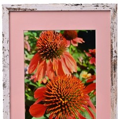 MICHAEL RAY Original Vintage Signed Long Island NY Floral Still Life Photograph