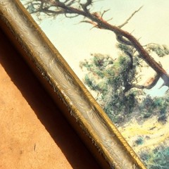 FREDERICK W. MARTIN Hand-Tinted Hand-Color Photo Torrey Pines 8.75″ x 4.75″ VGC
