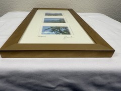 Maui Pro Photography Artist Signed Beautifully Framed and Matted