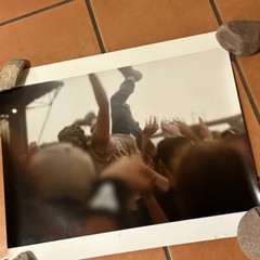 Janine Gordon Photograph 20×24″ C-print Edition Mosh Pit Signed Warped Tour