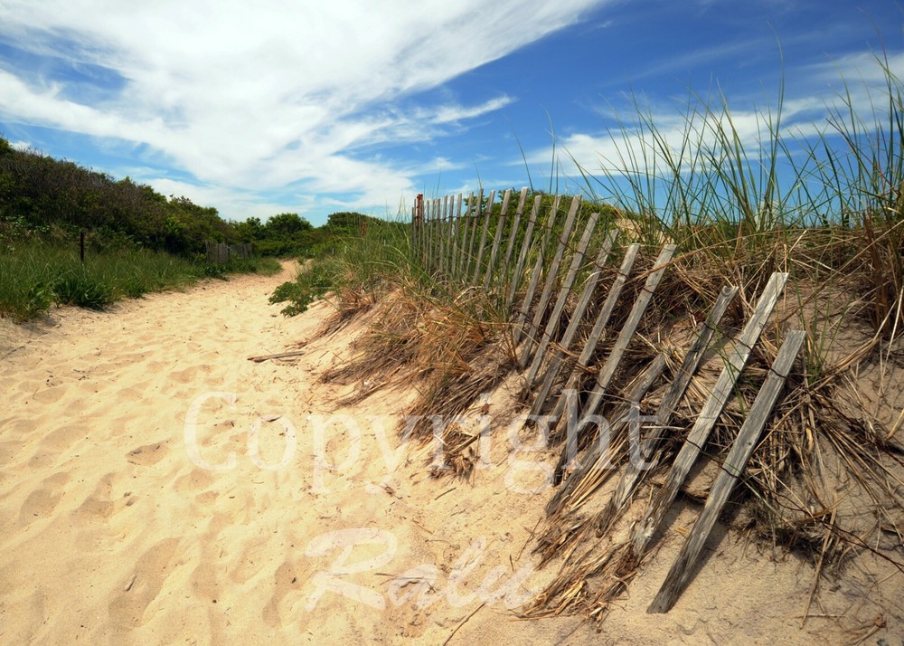 Plum Island Massachusetts 8×10 Matted Original Photography Photo Sand Ocean