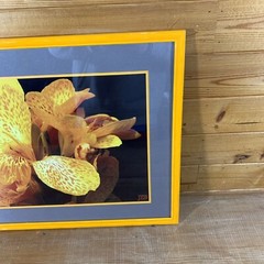 JEB Framed Photography Color Still Life Canna Lily 22-3/4” x 16-3/4” x 5/8”