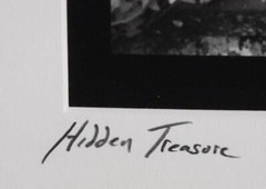 FAB NEIL R. BROWN SIGNED LMTD ED 14/275 BLACK WHITE PHOTO TITLED HIDDEN TREASURE