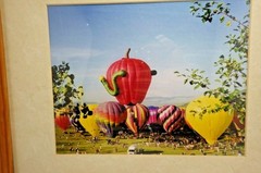 Steamboat Springs Hot Air Balloon Nature Landscape Wood Framed Wall Art lot 3