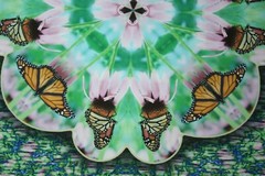 Monarch Collection Butterfly Collage Photo signed & numbered Print 9 1/2″x13″