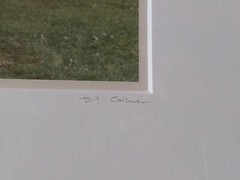 Bill COLEMAN PHOTOGRAPHY 2 framed photos.Signed.