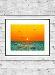 Free Birds 11×14″ Matted Art Photo Photograph Print Sunset Artwork Key West Fl