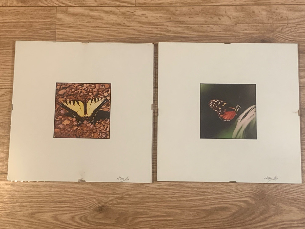 Steven Lax Signed Butterfly Prints Eastern Tiger Swallowtail & Red Postman