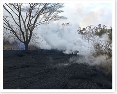 2018 Kilauea Volcano Charred Area Between Fissures 16 And 20 Silver Halide Photo