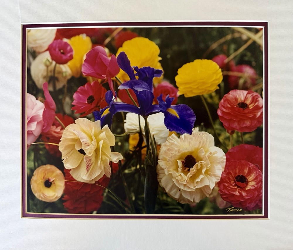 Takao Wakida, Flower Photograph 12×16