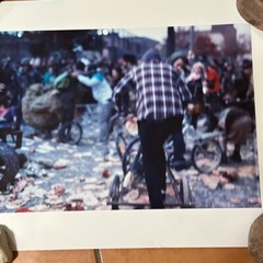 Janine Gordon Photograph 60″x72″ C-print Edition Grid Bike Kill Signed Fine Art