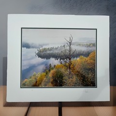 Jay Steinke Hungry Jake Lake Fall Leaves Minnesota Signed Photo Matted 19×16