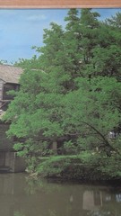 Vintage Framed Photograph Of The Historic Old Mill. Pigeon Forge, TN 22″x18″