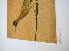 Roadrunner! Palm Springs CA 8×10 Photograph signed Brian Blackwelder – #76