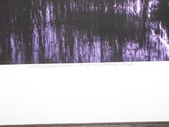Brian Call «Lightning Reflections, Everglades» Framed Photograph 17″x25″ 1/100