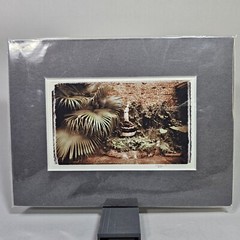 Ronnie Cardwell Courtyard Fountain Photograph Signed Print Louisiana Dreamy Palm