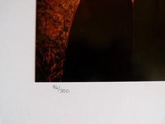 Original Artist Signed Fine Art Portrait Photograph Amish Sisters Barry Jackson
