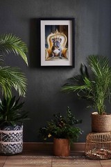 Printable Image French Bulldog Digital Picture PC Wallpaper Background