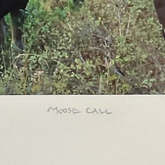 Moose Call Photo Signed Framed & Numbered 30/500 Willie Holdman FoundArtShop