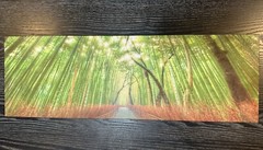 Bamboo Forest, Zen, Fine Art Photo, Home or Office Decor, Bamboo