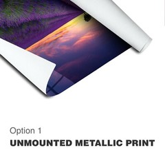 Original Limited Edition Acrylic Mounted Metallic Fine Art Photograph