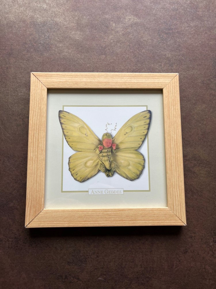 Anne Geddes Framed Photo Alexander As A Butterfly 7×7