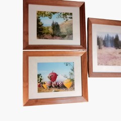 Steamboat Springs Hot Air Balloon Nature Landscape Wood Framed Wall Art lot 3
