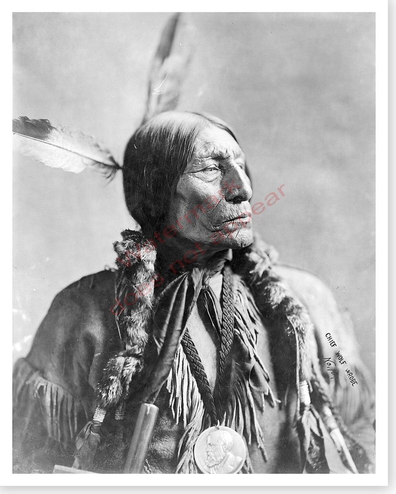 Chief Wolf Robe Southern Cheyenne Indian Native American Silver Halide Photo