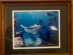 Pair Signed Cayman Islands Underwater Photographs Cathy Church Mike Lawrence