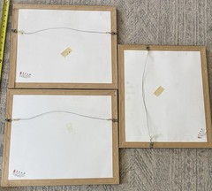 3 Professionally Framed & Matted China Photographer Kang Xuesong’s Works，photos