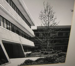 Vintage MARTIN TORNALLYAY Connecticut Architecture BAUHAUS Style PHOTOGRAPH #2