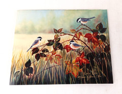 3 VTG Bird Photographs Pictures Signed, Limited Editions Quail Chickadee Nature
